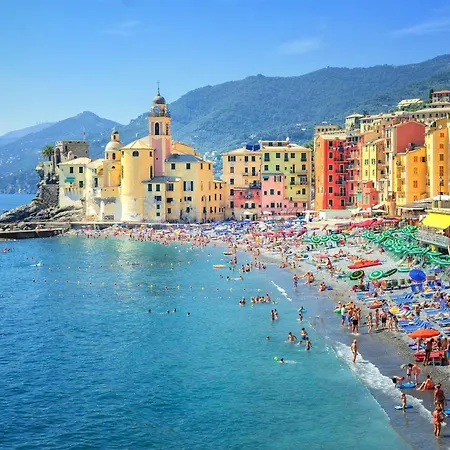 Flat In - Happy * Camogli